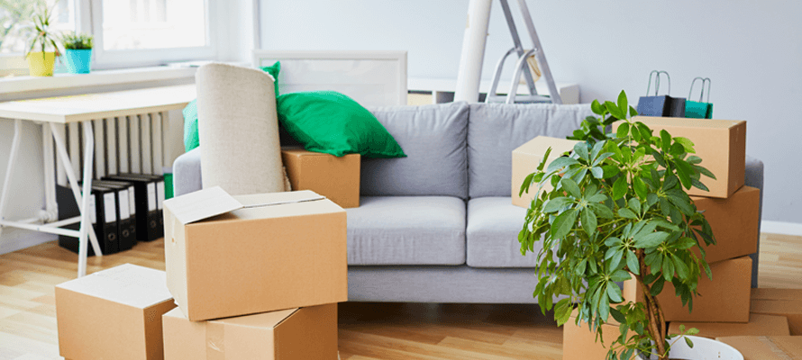 Moving to Your First Apartment? Here’s What You’ll Need